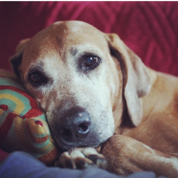 Meet your Posher, Myrna - Picture 4 of 8